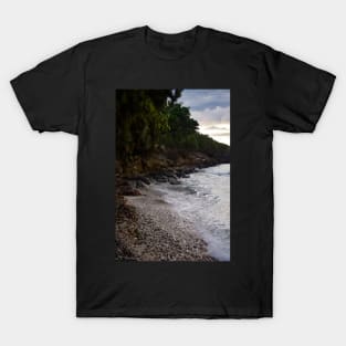 Stony shore line T-Shirt